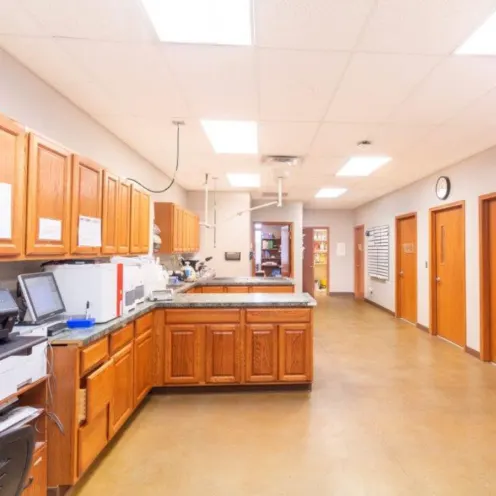 A photo of the treatment room at Dunes Animal Hospital